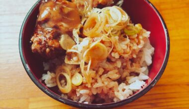 Homemade Japanese Gyokai Tonkotsu Ramen with a traditional "Shime" Zosui (rice porridge) from the leftover broth!