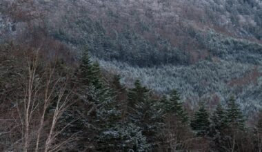 Late autumn snow - Mt Nikko Shirane