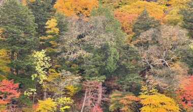 Nikko Chuzenji Lake