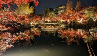Autumn leaves🍁 at Eikando temple in 🇯🇵Kyoto.