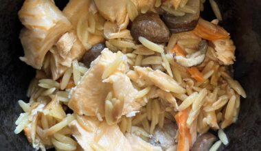 Orzo is a potential solution to rice sugar crash