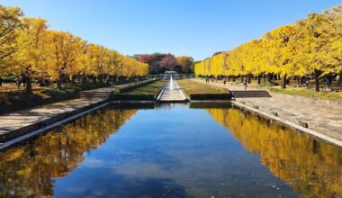Showa Kinen Park (Nov.17, 2025)
