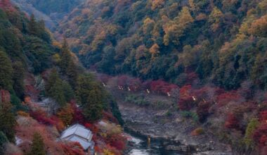 Autumn in Kyoto
