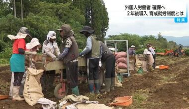 Rural areas concerned that change in foreign intern trainee policy allowing them to change job early may result in them moving to urban areas