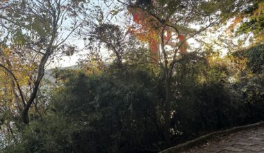 A glimpse of the Peace Torii
