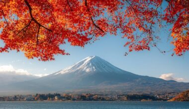 Japan in autumn season🍂🍁