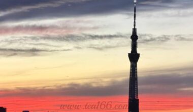 Tokyo, Japan sunset glow