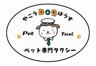 Flying to Japan with a large dog - tips