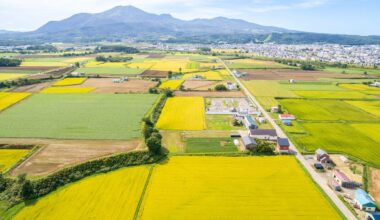 Japan’s Farmland Shrinks by More than 30% Over Past 60 Years