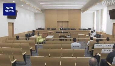 Japan court sentences Peruvian wrong-way driver to 18 months in prison