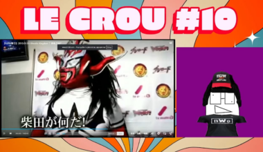 Hey guys, could someone do me a solid and tell me what Liger is saying here ?