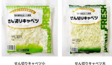 Vegetable plant chief arrested over illegal migrant employment