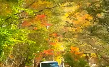 Amazing Nikko in Autumn!