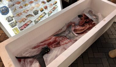 A Sushi place in Osaka put the whole tuna remains on display