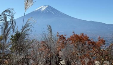 Mt Fuji was alive