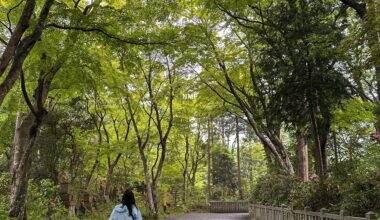 Quiet Walk in Hachioji