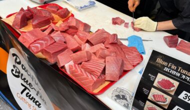 Hmart's annual bluefin tuna show
