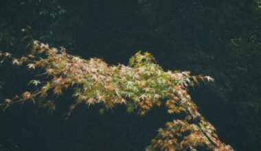 My first week in Japan has been so green