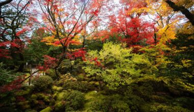 Autumn in a Japanese garden near Tokyo.