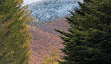 Winter creeping down the mountains In Nagano Today