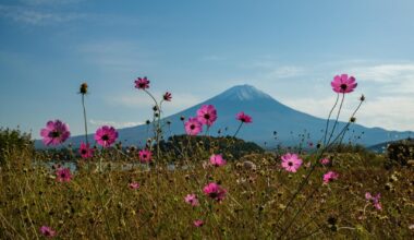Mount Fuji in all its glory