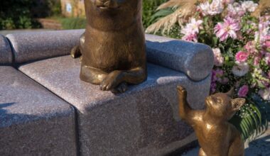 All about Doge Day 2025 at Sakura Hometown Square