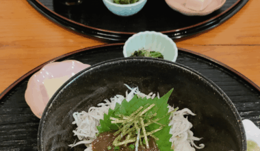 Whitebait rice bowl aka Shirasu don