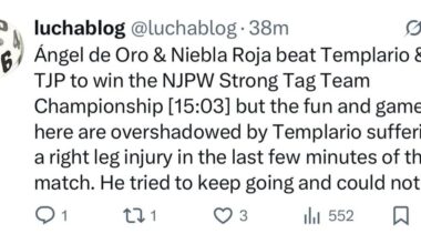 [CMLL 11/15 Spoilers] Some NJPW-relevant happenings