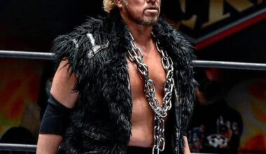 If I never watched NJPW and you told me these two were related I would've believed you