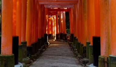 October 2025 selections pt. 2