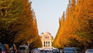 Jingu Gaien Ginkgo Avenue