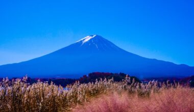 Mount Fuji