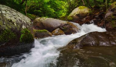 Up-Close Perspective of the Fast-Flowing Kawamata River in Yamanashi Prefecture