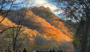 Gunma-Ken
