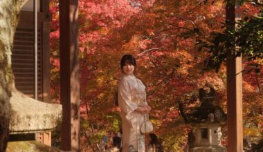 Arashiyama in Autumn