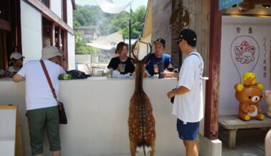Deers in Miyajima ordering drinks