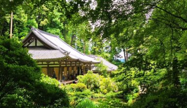 Lush greenery at Gansen-ji Temple, Kizugawa City, Kyoto Prefecture [OC]