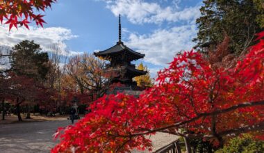 Shinnyodo Temple, Kyoto, Japan (Nov 2025)