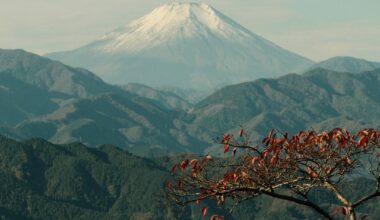 Mt Fuji
