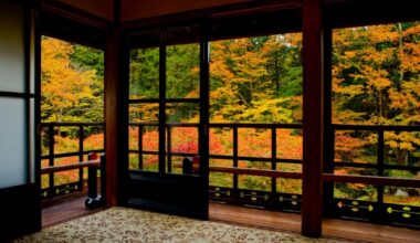 Early 2025 Autumn Compilation