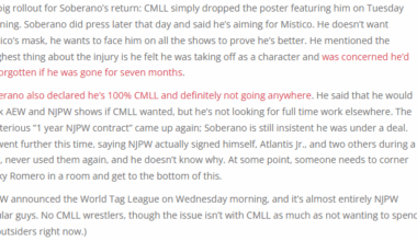 Interesting note on the Soberano Jr NJPW contract from Luchablog