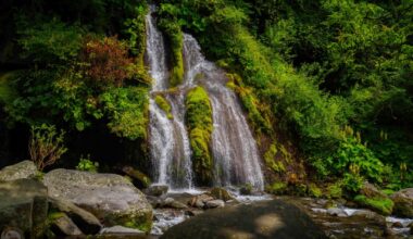 Capturing Doryū Falls: A Dragon’s Flow in the Yatsugatake Highlands・八ヶ岳の秘境、川俣川に流れる「吐竜の滝」を訪ねて