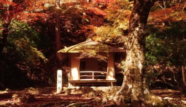 Yoshino, Nara - a hidden autumn spot