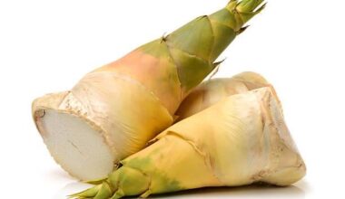 Anyone know any good Bamboo Shoots recipes? 🎍