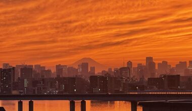 Mt. Fuji Evening View From Tokyo