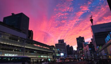 Sunset over Shinjuku