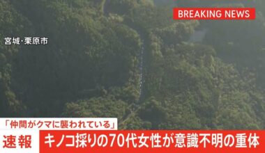 70 year old Woman in Unconscious Critical Condition, attacked While mushroom Picking with 4 People