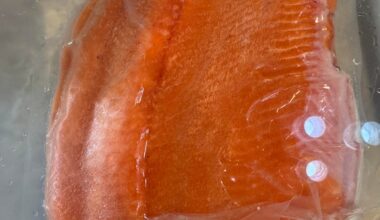 Coho caught in the Tsiu river a few weeks ago!