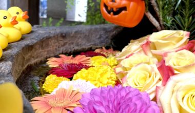 Spooky season, but make it sacred.