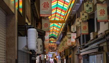 Nishiki Market when it's not so busy (March 2025)